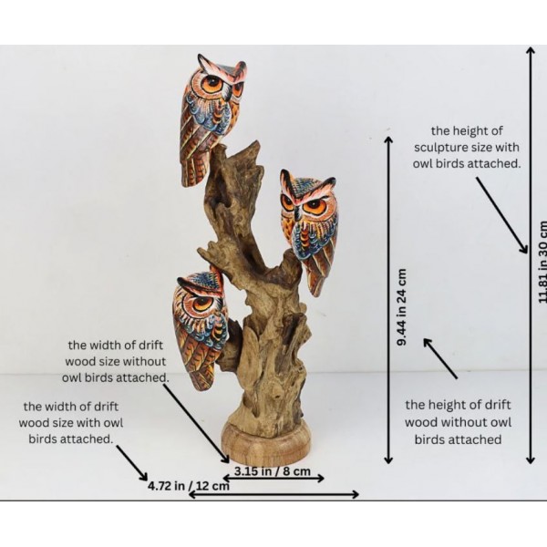 Root carving- serial number-5